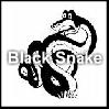 Play Black Snake Online