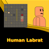 Play Human Labrat Online