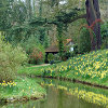 Play Jigsaw: Spring Time Online