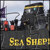 Play Picture Changing Jigsaw – SeaShepherd.org Online