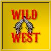 Play Wild West Reaction 2 Online